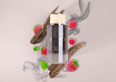بررسی ادکلن برانکو داست ویئرو | Vierro Bronco Dust